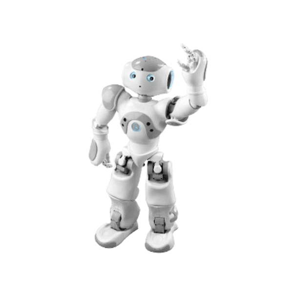 NAO view 2