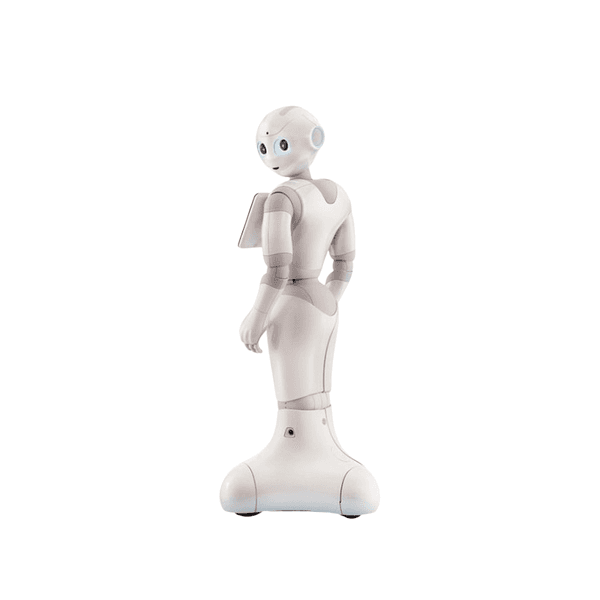 Pepper view 2