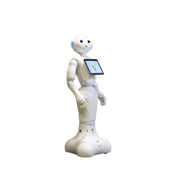Pepper view 3