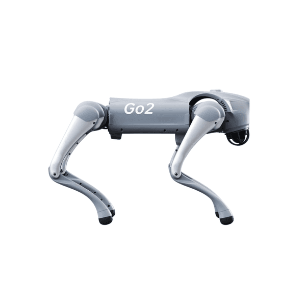 Go2 Pro view 2